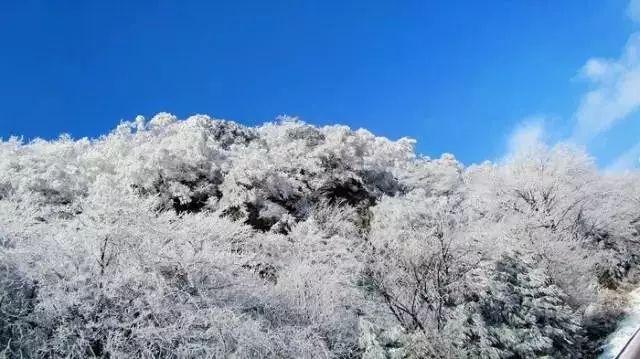 湖南湘潭：开足马力备年货 特色农产品助力乡村振兴